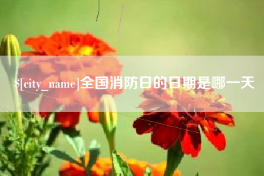 沭阳全国消防日的日期是哪一天