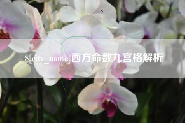 沭阳西方命数九宫格解析