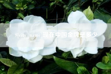 沭阳现在中国金牌是多少