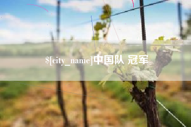 沭阳中国队 冠军