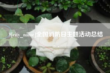 沭阳全国消防日主题活动总结