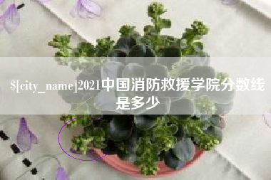 沭阳2021中国消防救援学院分数线是多少