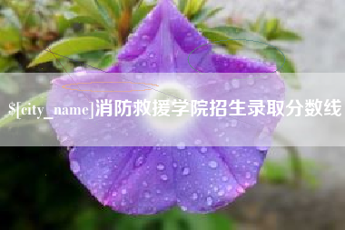 沭阳消防救援学院招生录取分数线