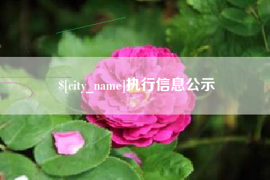 沭阳执行信息公示