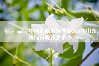 沭阳中国消防救援学院2021年山东录取分数线是多少