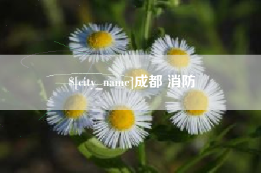 沭阳成都 消防