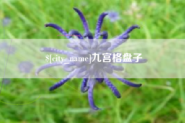 沭阳九宫格盘子
