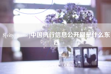 沭阳中国执行信息公开网是什么东西