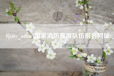 沭阳国家消防救援队伍报名网址