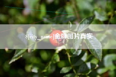 沭阳金牌图片真实
