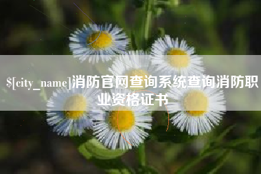 沭阳消防官网查询系统查询消防职业资格证书