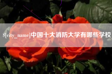 沭阳中国十大消防大学有哪些学校