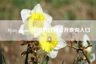 沭阳中国执行网公开查询入口