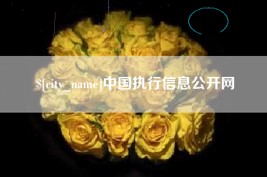 沭阳中国执行信息公开网
