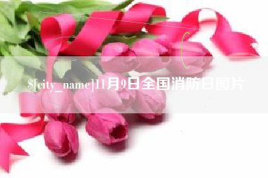 沭阳11月9日全国消防日图片