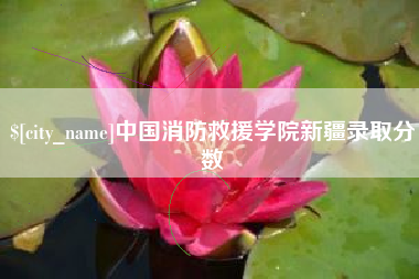 沭阳中国消防救援学院新疆录取分数
