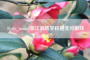 沭阳浙江消防学校招生分数线
