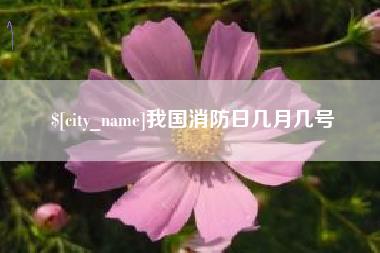 沭阳我国消防日几月几号