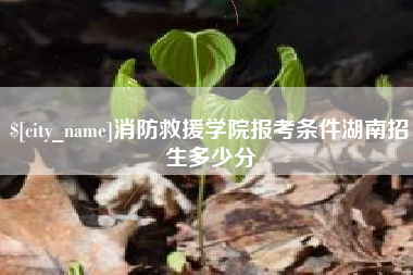 沭阳消防救援学院报考条件湖南招生多少分