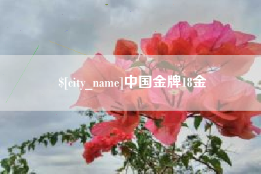沭阳中国金牌18金