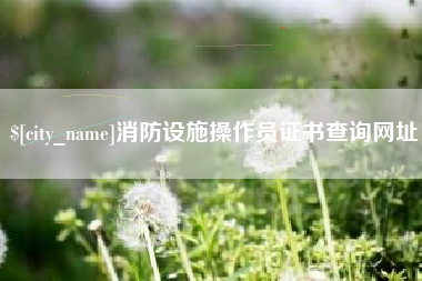 沭阳消防设施操作员证书查询网址