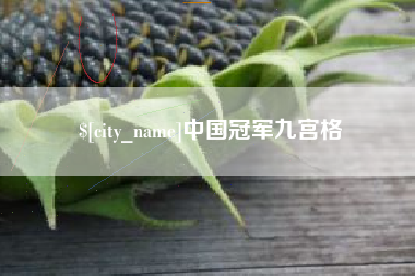 沭阳中国冠军九宫格