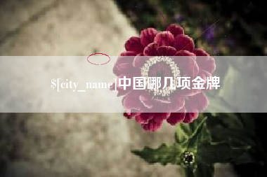 沭阳中国哪几项金牌