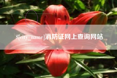 沭阳消防证网上查询网站
