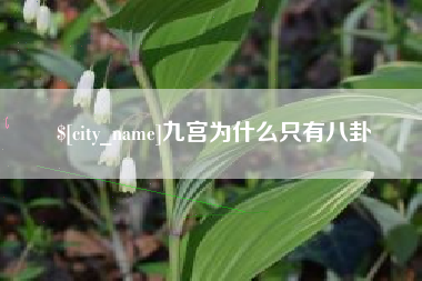 沭阳九宫为什么只有八卦
