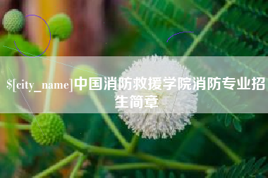 沭阳中国消防救援学院消防专业招生简章