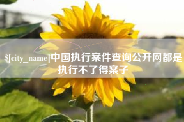 沭阳中国执行案件查询公开网都是执行不了得案子