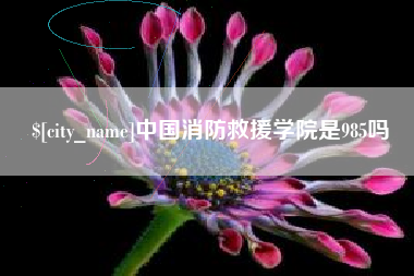 沭阳中国消防救援学院是985吗