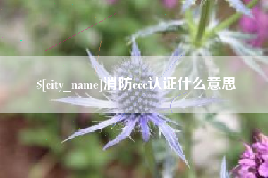 沭阳消防ccc认证什么意思