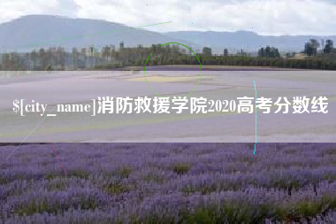 沭阳消防救援学院2020高考分数线