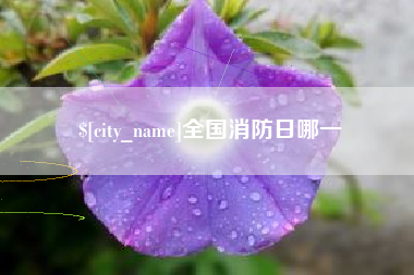 沭阳全国消防日哪一