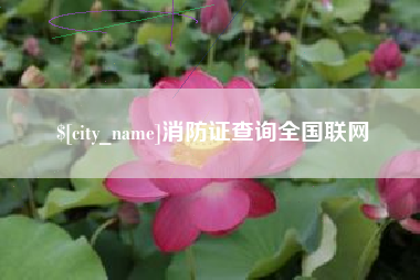 沭阳消防证查询全国联网