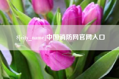 沭阳中国消防网官网入口