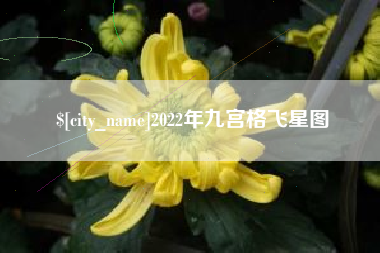 沭阳2022年九宫格飞星图