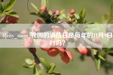 沭阳我国的消防日是每年的11月9日对吗？