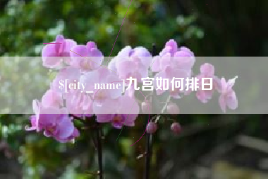 沭阳九宫如何排日