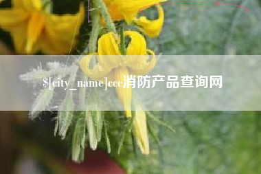 沭阳ccc消防产品查询网