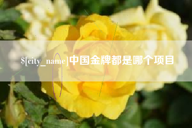 沭阳中国金牌都是哪个项目