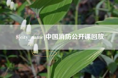 沭阳中国消防公开课回放