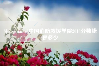 沭阳中国消防救援学院2018分数线是多少