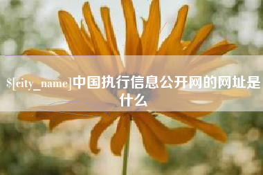 沭阳中国执行信息公开网的网址是什么