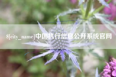 沭阳中国执行信息公开系统官网