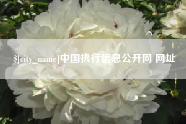 沭阳中国执行信息公开网 网址
