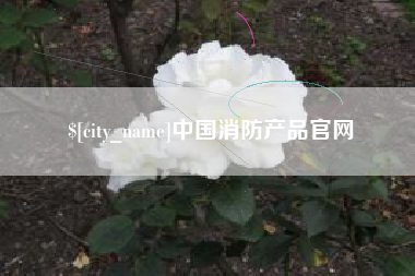 沭阳中国消防产品官网