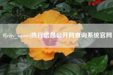 沭阳执行信息公开网查询系统官网