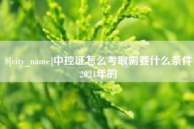 沭阳中控证怎么考取需要什么条件2024年的